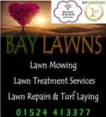 Lawn Mowing and Lawn Care